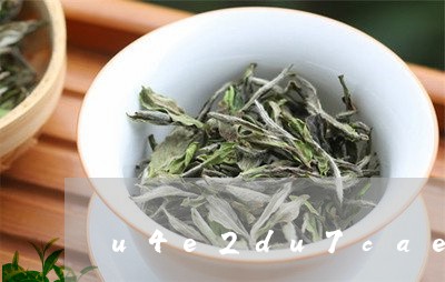 ob体育捷报！鹤山三款茶叶入选“2021年广东十大茗茶”！