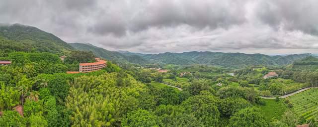 ob体育茗茶远离都邑的叫嚣正在青山绿水间尽兴减少身心享福自然(图9)