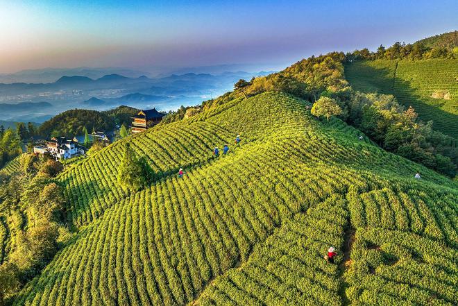 ob体育12月18日！六合茗茶聚径山共赴“茶圣”之约(图1)